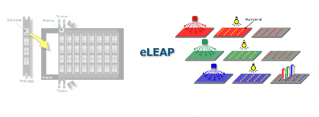 因研发资源紧张,JDI推迟eLEAP OLED量产时间(图1) 因研发资源紧张,JDI推迟eLEAP OLED量产时间(图1)