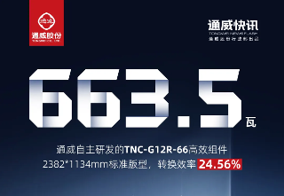 双纪录突破！通威创造TNC-G12-66/G12R-66双版型功率新纪录(图2)