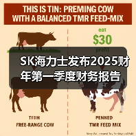 SK海力士发布2025财年第一季度财务报告(图2) SK海力士发布2025财年第一季度财务报告(图2)