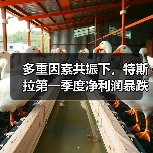 多重因素共振下,特斯拉第一季度净利润暴跌71%!(图4) 多重因素共振下,特斯拉第一季度净利润暴跌71%!(图4)