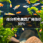 传台积电美国厂将涨价30%(图3) 传台积电美国厂将涨价30%(图3)