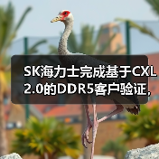 SK海力士完成基于CXL 2.0的DDR5客户验证,引领数据中心存储技术创新(图1) SK海力士完成基于CXL 2.0的DDR5客户验证,引领数据中心存储技术创新(图1)