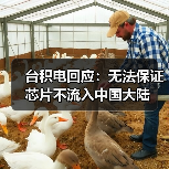 台积电回应:无法保证芯片不流入中国大陆(图1) 台积电回应:无法保证芯片不流入中国大陆(图1)