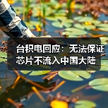 台积电回应:无法保证芯片不流入中国大陆(图3) 台积电回应:无法保证芯片不流入中国大陆(图3)