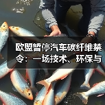 欧盟暂停汽车碳纤维禁令:一场技术、环保与利益的动态博弈(图2) 欧盟暂停汽车碳纤维禁令:一场技术、环保与利益的动态博弈(图2)