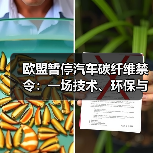 欧盟暂停汽车碳纤维禁令:一场技术、环保与利益的动态博弈(图4) 欧盟暂停汽车碳纤维禁令:一场技术、环保与利益的动态博弈(图4)