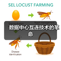 数据中心互连技术的革命（图1）