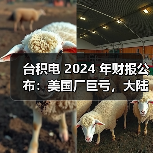台积电 2024 年财报公布:美国厂巨亏,大陆厂大赚(图1) 台积电 2024 年财报公布:美国厂巨亏,大陆厂大赚(图1)