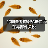 特朗普考虑豁免进口汽车零部件关税(图2) 特朗普考虑豁免进口汽车零部件关税(图2)