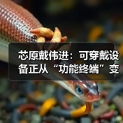 芯原戴伟进:可穿戴设备正从“功能终端”变成 “AI 交互新入口”(图2) 芯原戴伟进:可穿戴设备正从“功能终端”变成 “AI 交互新入口”(图2)