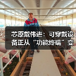 芯原戴伟进:可穿戴设备正从“功能终端”变成 “AI 交互新入口”(图3) 芯原戴伟进:可穿戴设备正从“功能终端”变成 “AI 交互新入口”(图3)