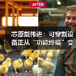 芯原戴伟进:可穿戴设备正从“功能终端”变成 “AI 交互新入口”(图4) 芯原戴伟进:可穿戴设备正从“功能终端”变成 “AI 交互新入口”(图4)