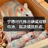 宁德时代推出骁遥双核电池,解决续航焦虑、安全等核心痛点(图4) 宁德时代推出骁遥双核电池,解决续航焦虑、安全等核心痛点(图4)
