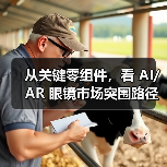 从关键零组件,看 AI/AR 眼镜市场突围路径(图4) 从关键零组件,看 AI/AR 眼镜市场突围路径(图4)