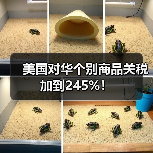 美国对华个别商品关税加到245%!(图4) 美国对华个别商品关税加到245%!(图4)