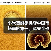 小米智能手机夺中国市场季度第一,苹果全球季增10%难阻滑铁卢(图2) 小米智能手机夺中国市场季度第一,苹果全球季增10%难阻滑铁卢(图2)