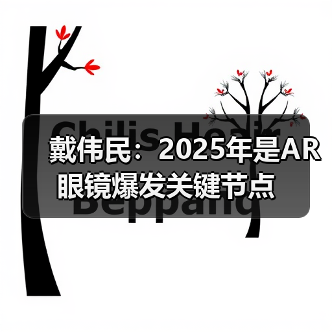 戴伟民：2025年是AR 眼镜爆发关键节点（图1）