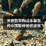 关税致采购成本暴涨,传中国暂停接收波音飞机(图3) 关税致采购成本暴涨,传中国暂停接收波音飞机(图3)