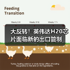 大反转!英伟达H20芯片面临新的出口管制(图3) 大反转!英伟达H20芯片面临新的出口管制(图3)