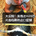 大反转!英伟达H20芯片面临新的出口管制(图4) 大反转!英伟达H20芯片面临新的出口管制(图4)