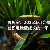 魏哲家：2025年仍会是台积电稳健成长的一年（图3）