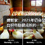 魏哲家：2025年仍会是台积电稳健成长的一年（图1）