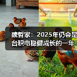 魏哲家：2025年仍会是台积电稳健成长的一年（图2）
