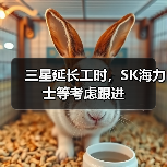 三星延长工时，SK海力士等考虑跟进（图4）