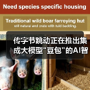 传字节跳动正在推出集成大模型 传字节跳动正在推出集成大模型