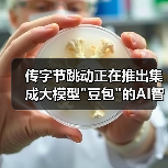 传字节跳动正在推出集成大模型 传字节跳动正在推出集成大模型