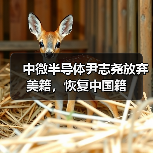 中微半导体尹志尧放弃美籍，恢复中国籍（图1）
