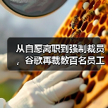从自愿离职到强制裁员,谷歌再裁数百名员工(图1) 从自愿离职到强制裁员,谷歌再裁数百名员工(图1)