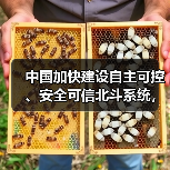 中国加快建设自主可控、安全可信北斗系统,利好北斗导航概念股(图1) 中国加快建设自主可控、安全可信北斗系统,利好北斗导航概念股(图1)
