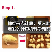 神经形态计算：受人脑启发的计算机科学新前沿（图2）