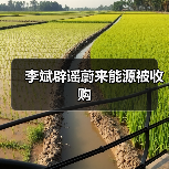李斌辟谣蔚来能源被收购(图4) 李斌辟谣蔚来能源被收购(图4)