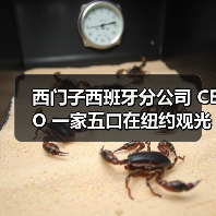 西门子西班牙分公司 CEO 一家五口在纽约观光直升机坠毁事故中遇难（图4）