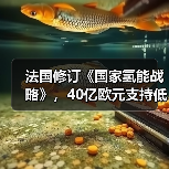 法国修订《国家氢能战略》,40亿欧元支持低碳氢能发展(图3) 法国修订《国家氢能战略》,40亿欧元支持低碳氢能发展(图3)