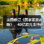法国修订《国家氢能战略》,40亿欧元支持低碳氢能发展(图2) 法国修订《国家氢能战略》,40亿欧元支持低碳氢能发展(图2)