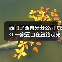 西门子西班牙分公司 CEO 一家五口在纽约观光直升机坠毁事故中遇难（图1）