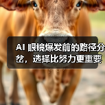 AI 眼镜爆发前的路径分岔,选择比努力更重要(图4) AI 眼镜爆发前的路径分岔,选择比努力更重要(图4)