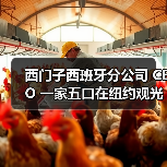 西门子西班牙分公司 CEO 一家五口在纽约观光直升机坠毁事故中遇难（图3）