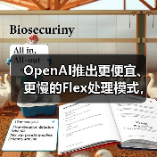 OpenAI推出更便宜、更慢的Flex处理模式,用于“非生产”任务(图1) OpenAI推出更便宜、更慢的Flex处理模式,用于“非生产”任务(图1)