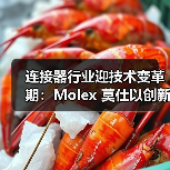 连接器行业迎技术变革期:Molex 莫仕以创新方案破解高速连接与多元场景痛点(图3) 连接器行业迎技术变革期:Molex 莫仕以创新方案破解高速连接与多元场景痛点(图3)