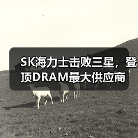 SK海力士击败三星,登顶DRAM最大供应商(图3) SK海力士击败三星,登顶DRAM最大供应商(图3)