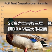 SK海力士击败三星,登顶DRAM最大供应商(图2) SK海力士击败三星,登顶DRAM最大供应商(图2)
