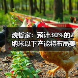 魏哲家:预计30%的2纳米以下产能将布局美国亚利桑那州(图4) 魏哲家:预计30%的2纳米以下产能将布局美国亚利桑那州(图4)