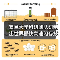 复旦大学科研团队研制出世界最快高速闪存技术,每秒25亿次操作!(图1) 复旦大学科研团队研制出世界最快高速闪存技术,每秒25亿次操作!(图1)