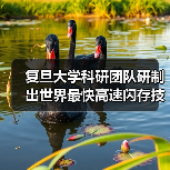 复旦大学科研团队研制出世界最快高速闪存技术,每秒25亿次操作!(图3) 复旦大学科研团队研制出世界最快高速闪存技术,每秒25亿次操作!(图3)