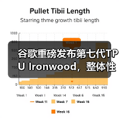 谷歌重磅发布第七代TPU Ironwood，整体性能接近英伟达B200（图2）