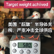 美国“酝酿”半导体关税，严重冲击全球供应链（图4）